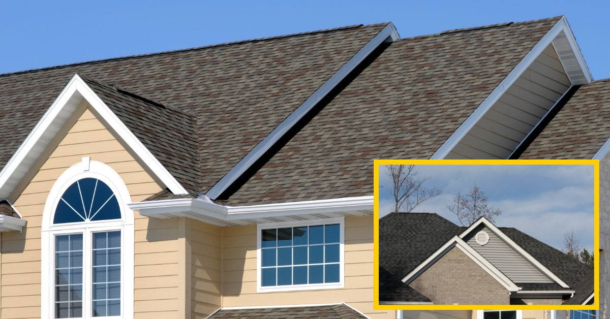 shingle roof